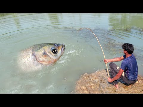 Amazing Big Fish Hook Fishing in River #fishing