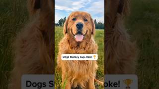 Dogs Stanley Cup Dad Joke! 🏆