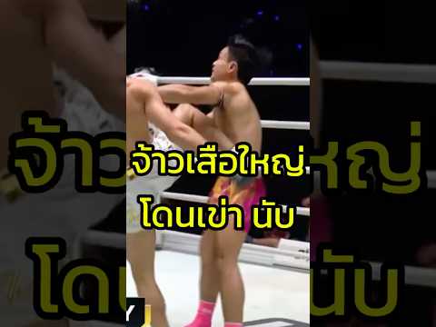 โดนเข่าลอย จ้าวเสือใหญ่ ยิ้มเก็บอาการ  #มวยไทย #muaythai #onefightnight36 #onechampionship 
