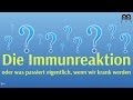 immunreaktion/