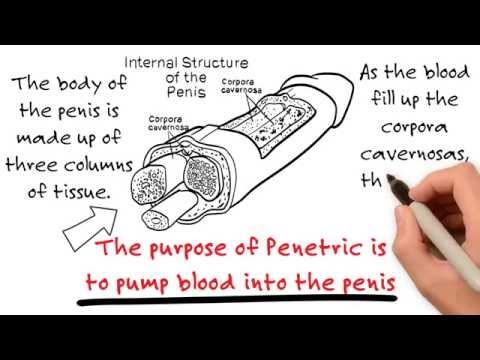 How A Penis Pump Jobs EcityWorks