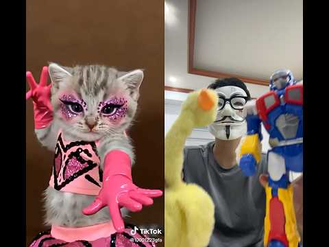 Who is best cat cute ๐? #shorts #viral #cute #cat #funny #memes #comedy #trending