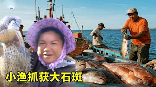 小漁出海收穫大石斑，满满一筐带到码头直接卖了好多钱！【漁小仙】