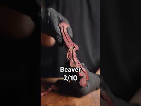 Exotic briskets… like Texas Briskets?