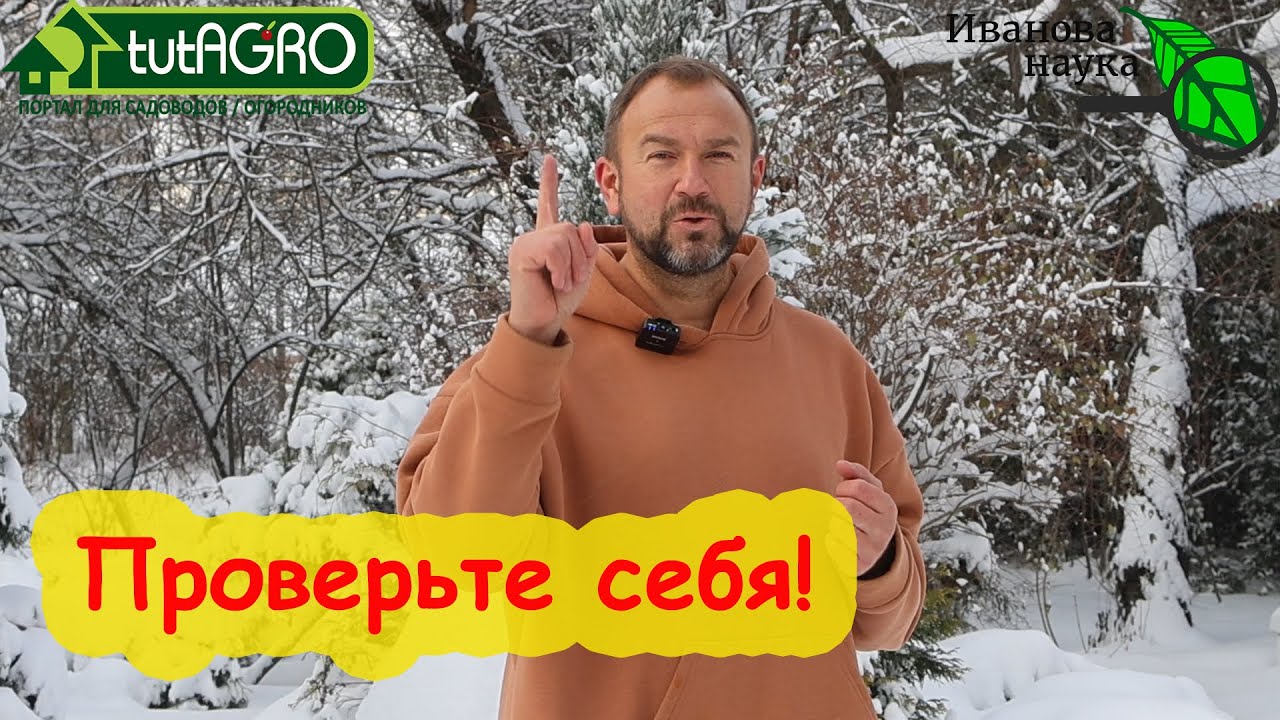 Тест: являетесь ли вы жертвой садового маркетинга? Как не попасть в лапы маркетологов?