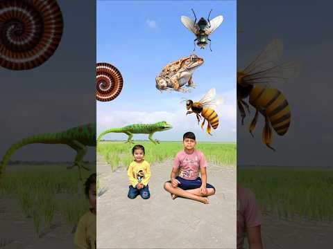 Tu Radha meri mia shyam Tera 💕🌺 insects vs cute boy magic vfx #radha #krishna #newsong