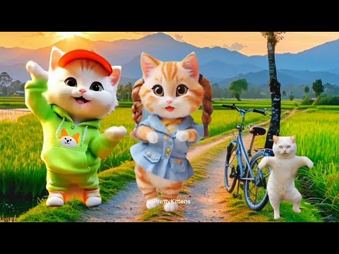 Cute Cat videos funny dance video for cats(2)🐈🥰 #viralvideos #funnycats #dancevideo