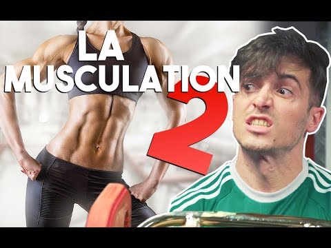 LA MUSCULATION 2
