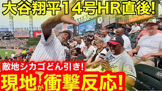 シカゴがドン引き！14号HR直後に現地が衝撃反応に！初めて見た山本投手ほぼ完全試合に敵地が感動のエール！　【現地取材】