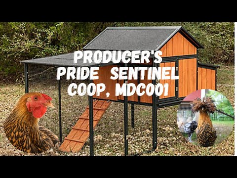Coupon For Chicken Coop At Tractor Supply 01 2022 Coupon For Chicken Coop At Tractor Supply 01 2022