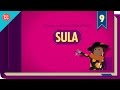 Understanding Toni Morrison's 'Sula'