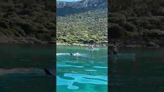 📌 Kayaking e delfini a Golfo Aranci 🐬 Isola di Figarolo 🥹 Sardegna (  KayakingMoresca )