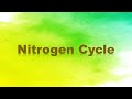 Exploring the Nitrogen Cycle Processes