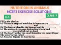 Digestive System Functions and Processes