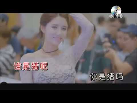 王若熙-你是豬嗎karaokeKTV 伴奏 左伴右唱 karaoke 卡拉OK 伴唱 instrumental王若熙-你是豬嗎karaoke