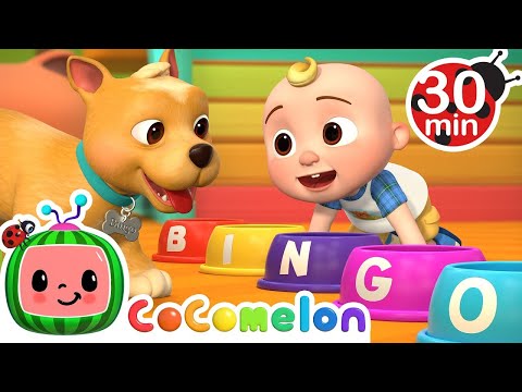 Bingo Was His Name-O + MORE Dog Songs! CoComelon Nursery Rhymes & Animal \ Super simple