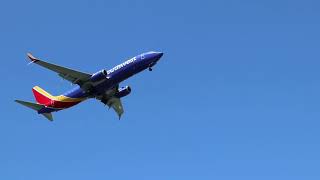 Plane Spotting at Boston Logan International Airport on a Beautiful Day!