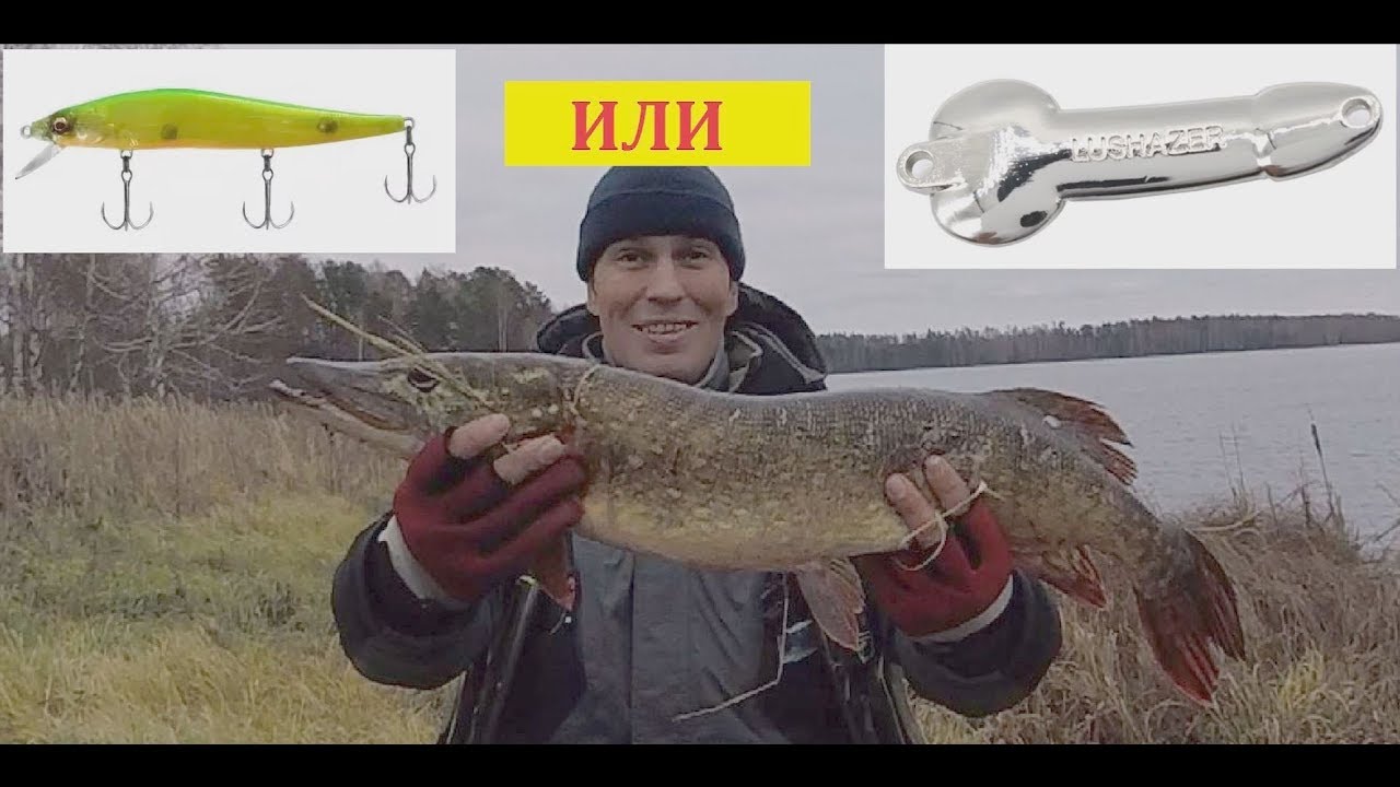 Иногда и у нас клюёт - Щука осенью
