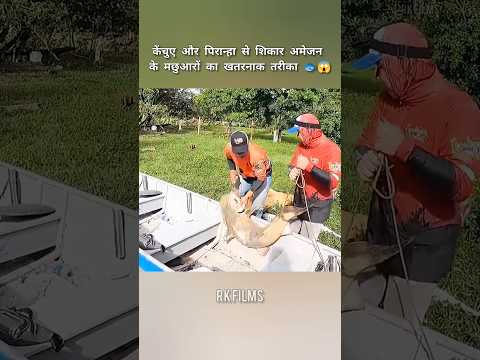 केंचुए और पिरान्हा से शिकार अमेजन के मछुआरों का खतरनाक तरीका 🐟😱