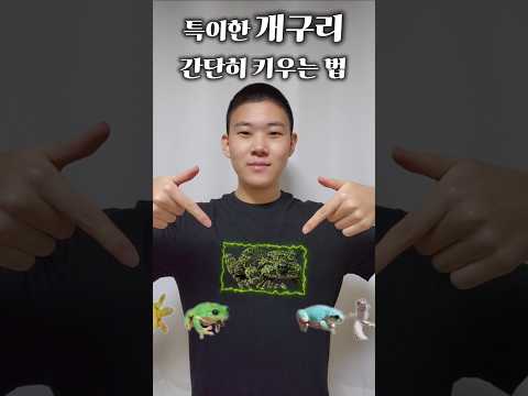 특이한 개구리 간단히 키우는 법 #animals #동물키우기 #파충류 #양서류 #개구리 #reptiles #frog