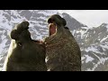 Antarctic Wildlife and Survival