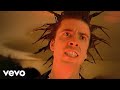 Understanding the Song 'Everlong'