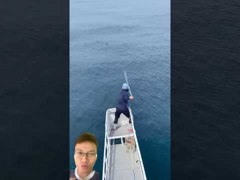 Fishing is not difficult #fishing