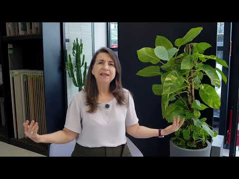 Como montar um ambiente multiuso | Carla Fratin Arquiteta