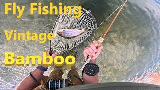 Fly Fishing with vintage bamboo for trout #flyfishing #troutfishing #bamboo #fishing #fish #nature