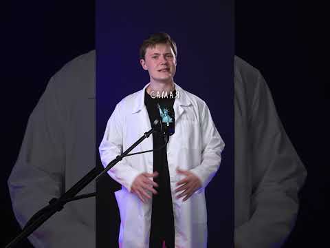 Какой формы земля? #лютаяфизика