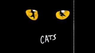 The Cats musical - Czech cast