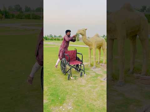 🦽Wheelchair Wale Neta Dil Khush Kar Diya🐪#tranding #veral #animals