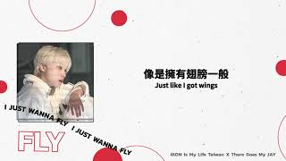 【英繁中字】JAY 金振煥 - Fly｜iKON is My Life Taiwan中字 [Chinese sub]