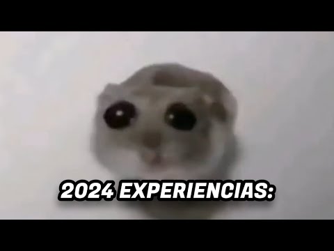 2024 Experiencias.....