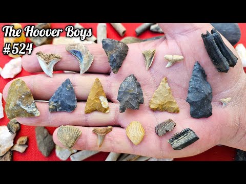 River Sifting for Ancient Native American Arrowheads, Tools, Shark Teeth, Fossils, & More!