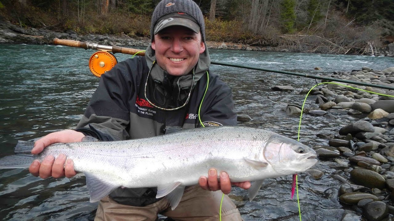 BC Steelhead Skeena River British Columbia - The New Fly Fisher