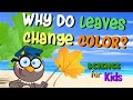 Leaf Pigments and Their Effects