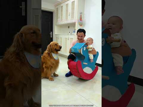 (part-2)"Doggy Built a Crazy Toy Horse! 😱🐎"