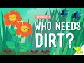 Plant Biology and Hydroponics Concepts
