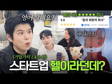 스타트업 사람들은 다들 영어를 잘할까? (금쪽같은 내회사 ep.1)