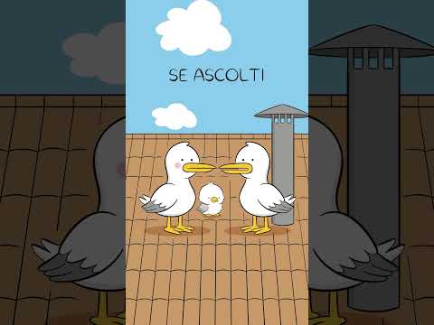 La canzone aveva previsto tutto!