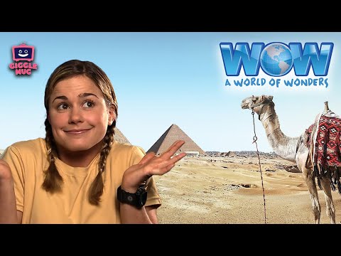 Show me the Mummy | World of Wonders (Introduction Video)