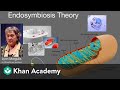 Exploring the Endosymbiosis Theory in Cell Biology