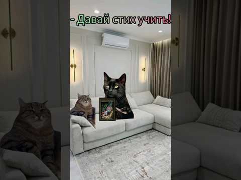 Добьём 20к подписчиков до этой субботы? #мем #бравлстарс #supercell #реки #memes #shorts #tiktok