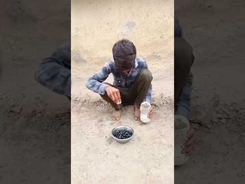 jaamun khaya 🤤🙏#minivlog #shortminivlogs #youtubeshorts #trending #viral