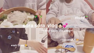 【vlog】春から1人暮らし始めて慣れない新生活🌸💭💧仕事がある日の過ごし方👩‍⚕️🏠せいろ蒸し🥦🥬