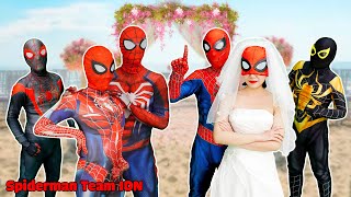 Spider-Man Merah Mencari Pelaku yang Melukai Pengantin Laba-laba - Spiderman Team IDN