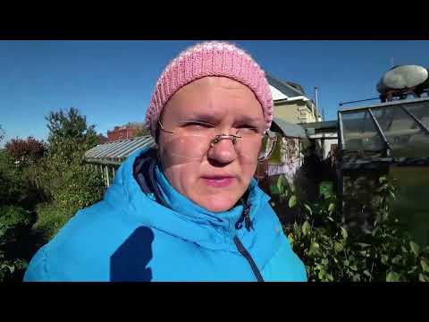 Каналу 6 лет!