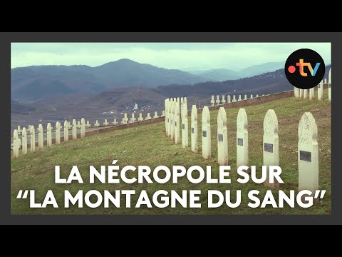 80e anniversaire de la Libération de l'Alsace : Sigolsheim, la nécropole sur "la montagne du sang"