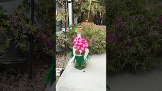 Gertie the Goose #gertie #thegoose #yardart #listenwell